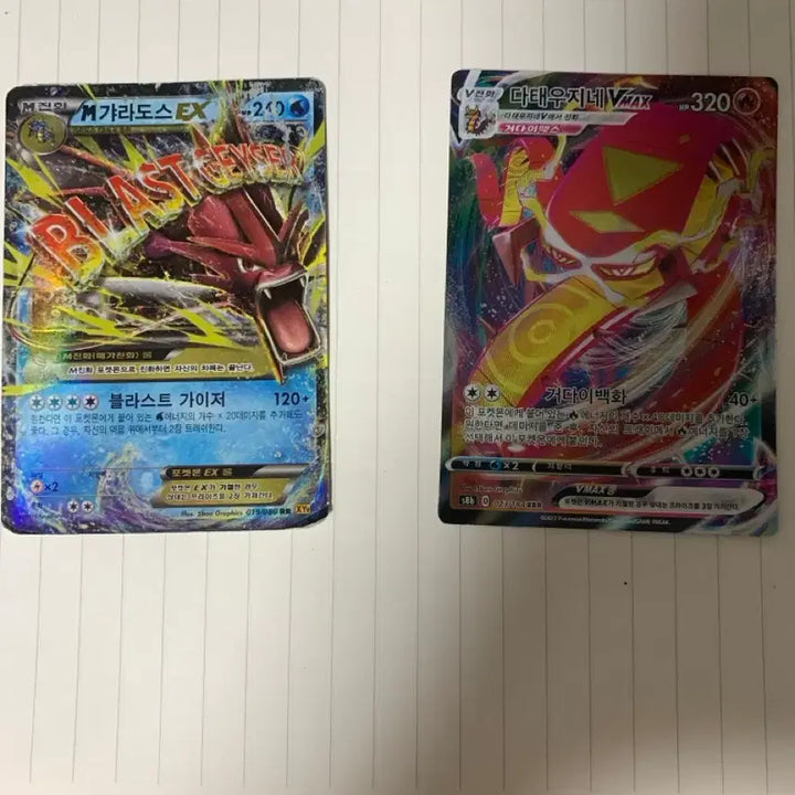 [BUNJANG] Gyarados EX and Charizard VMAX Card Set / 갸라도스ex 다태우지네vmax 세트