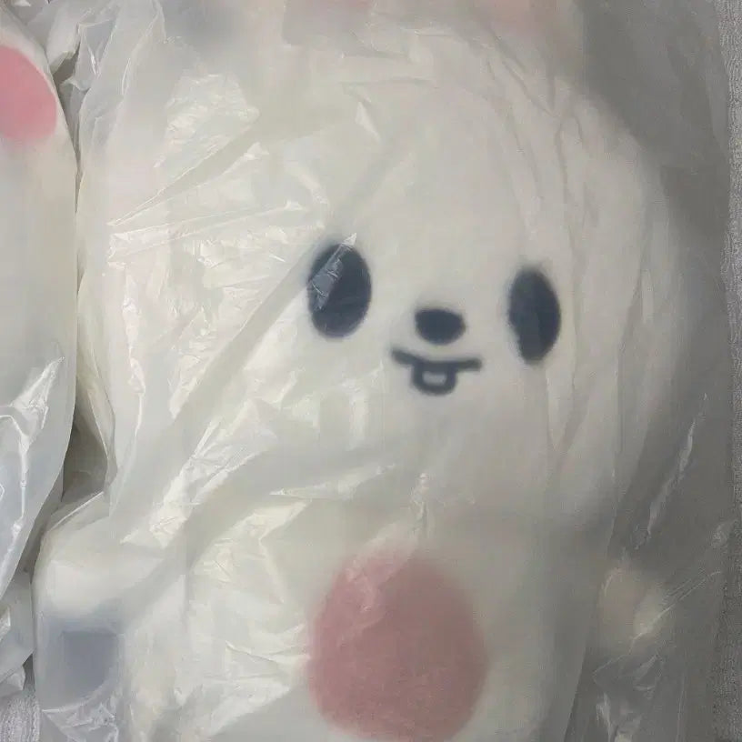 [SOLD OUT] 스트레이키즈 스키주 리빗 가방 팬미팅 엠디 양도