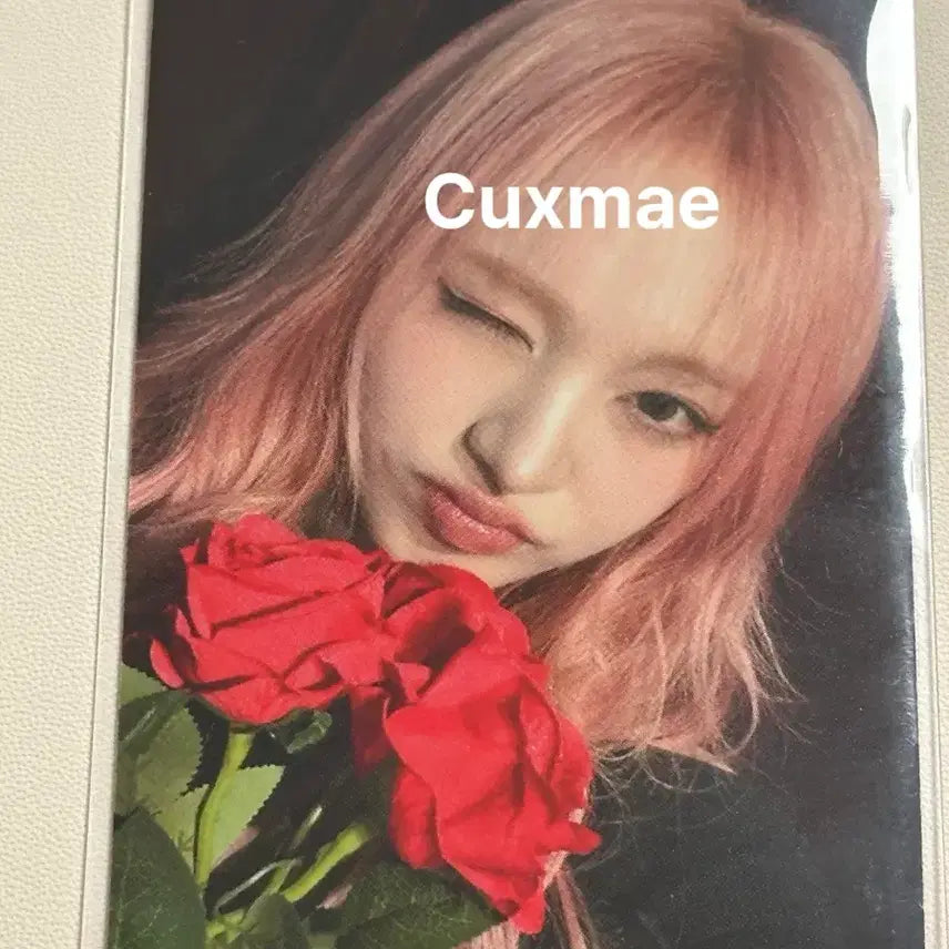 [BUNJANG] 아이브 리즈 엠파시 에플뮤직 포카 양도 / 아이브 리즈 엠파시 에플뮤직 포카 양도