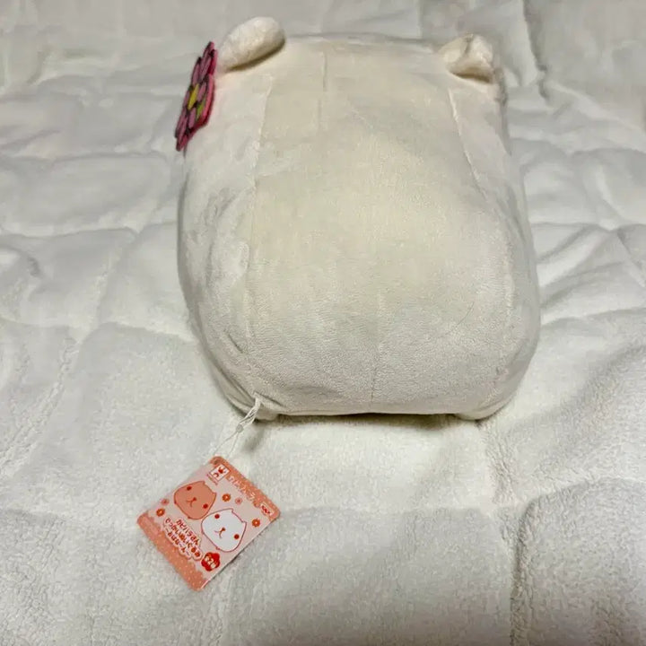 [BUNJANG] Capybara Plush Doll Set with Flowers / 카피바라상 꽃