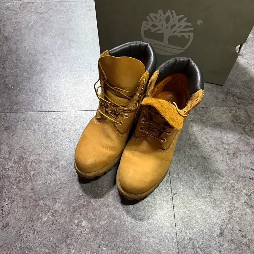 [BUNJANG] Timberland 6-inch Premium Boots / 팀버랜드 6인치 프리미엄 260 풀박스