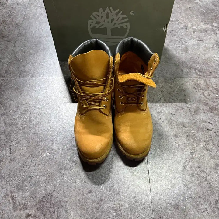 [BUNJANG] Timberland 6-inch Premium Boots / 팀버랜드 6인치 프리미엄 260 풀박스
