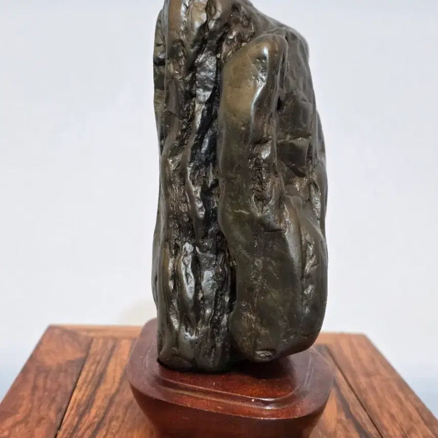 [SOLD OUT] 26042333 석질과 변화가 예술인 남한강 수석 팝니다