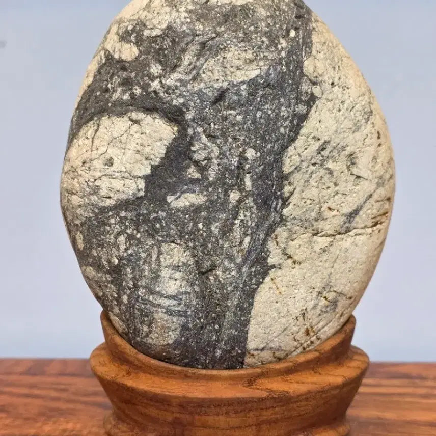 [BUNJANG] Soan Island Stone with Beautiful Texture and Pattern / 26042334 석질과 문양이 아름다운 소안도 해석 수석 팝니다
