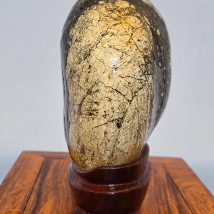 [BUNJANG] Soan Island Stone with Beautiful Texture and Pattern / 26042334 석질과 문양이 아름다운 소안도 해석 수석 팝니다