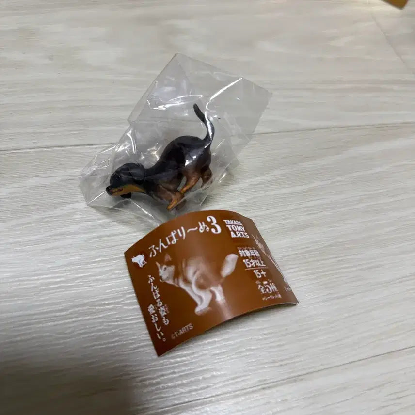 [BUNJANG] Poop Dachshund "Let&