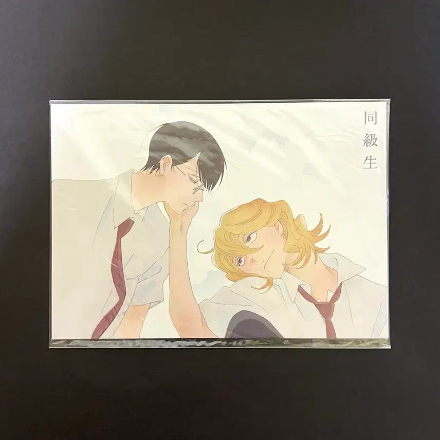 [BUNJANG] Aniplex Doukyusei Special Screening Hikaru Goods / 애니플러스 동급생 특별 상영회 영화 특전 사죠 히카루 굿즈 희귀매물