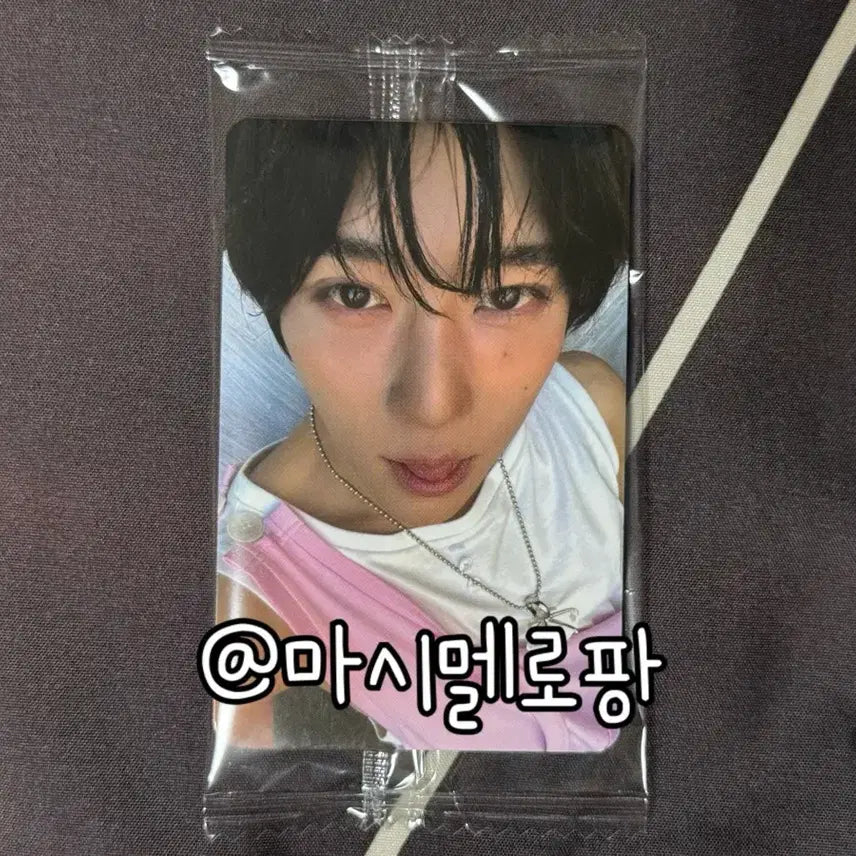 [SOLD OUT] 엔시티위시 오드투러브 케타포 특전 시온 포카 포토카드 nct wish