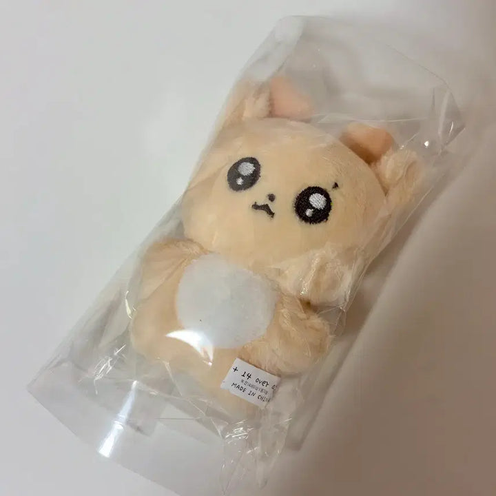 [BUNJANG] RIIZE Sungchan 10cm Doll &