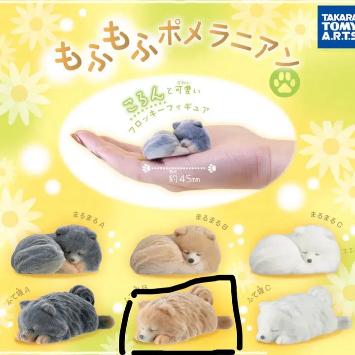 [BUNJANG] Sealed Fluffy Pomeranian Dog Gacha - Brown Pomeranian / 미개봉) 보드라운 포메라니안 강아지 가챠_ 갈색 포메