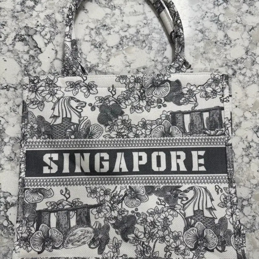 [BUNJANG] Singapore Tote Bag / 싱가포르 북토트백 가방