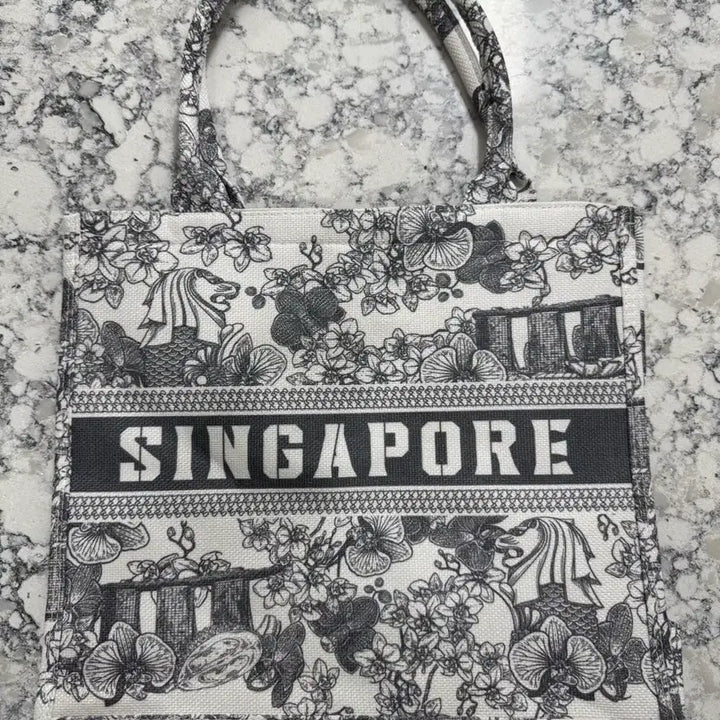 [BUNJANG] Singapore Tote Bag / 싱가포르 북토트백 가방