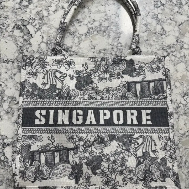 [BUNJANG] Singapore Tote Bag / 싱가포르 북토트백 가방