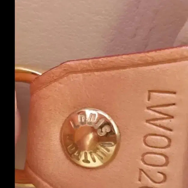 [BUNJANG] Louis Vuitton Vernis Lead PM Tote Bag / 루이비통 베르니 숄더백