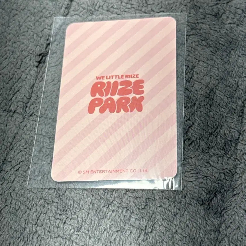 [BUNJANG] RIIZE Leejiko Shotaro POB Photocard / 리라즈팝업 리즈코행운포카 리즈코 쇼타로 행운포카