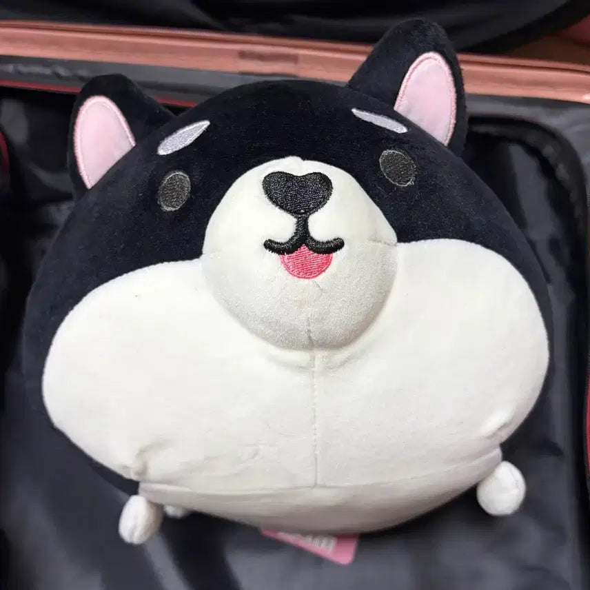 [BUNJANG] Artbox Lying Shiba Inu Cushion (Black) / 아트박스 엎드린 시바 쿠션 블랙 검정 시바견 인형 봉제인형 블랙시바