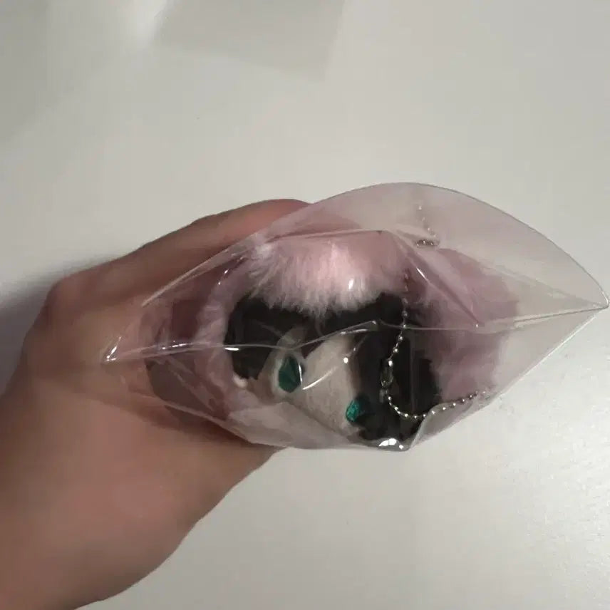 [BUNJANG] Attack on Titan Eren Harunyan Nui Plush / 진격의 거인 에렌 하루냥코 타피누이