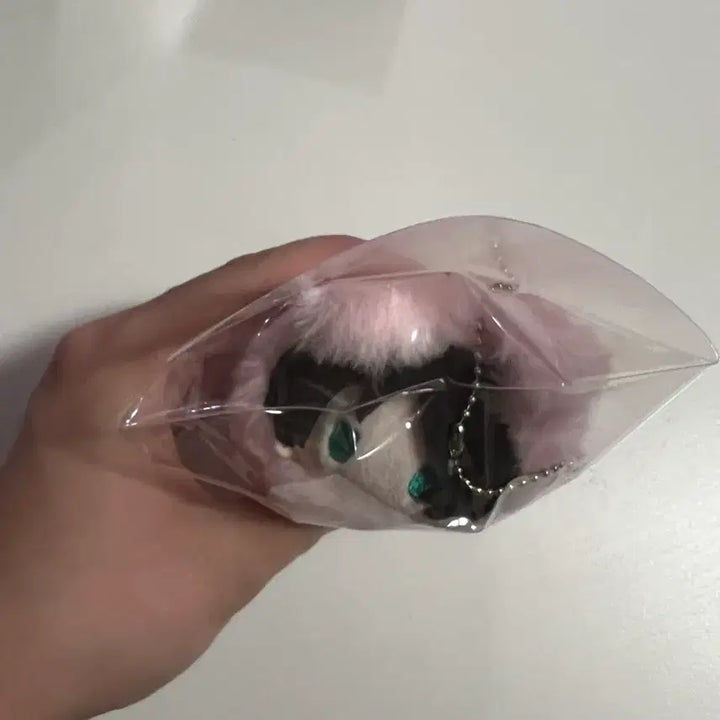 [BUNJANG] Attack on Titan Eren Harunyan Nui Plush / 진격의 거인 에렌 하루냥코 타피누이