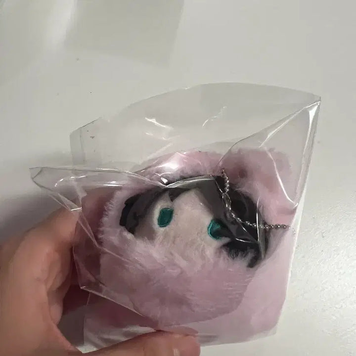 [BUNJANG] Attack on Titan Eren Harunyan Nui Plush / 진격의 거인 에렌 하루냥코 타피누이