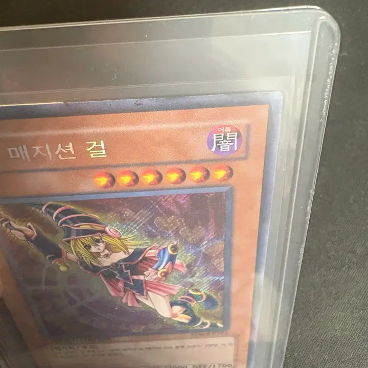 [BUNJANG] Yu-Gi-Oh Black Magician Girl Card Limited Edition / 유희왕 블랙 매지션 걸 카드 리미티드 사선시크
