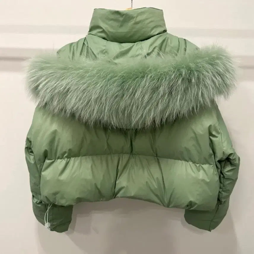 [BUNJANG] Black Barbie Emma Racoon Fur Duck Down Short Padding / [새상품] 블랙바비 엠마 라쿤퍼 덕다운숏패딩