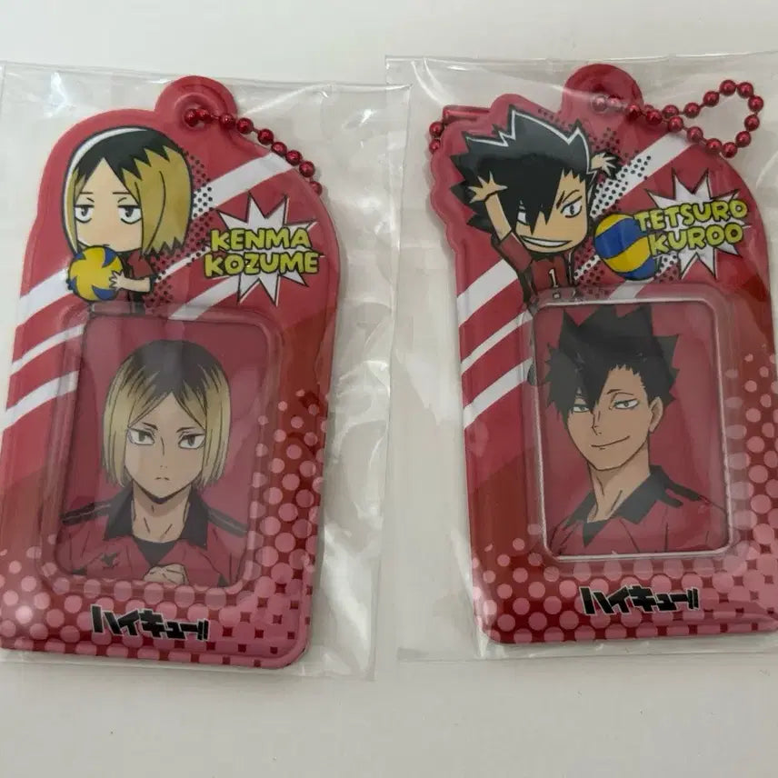 [BUNJANG] Haikyu Kenma and Kuroo Photo Card Bundle Set / 하이큐 켄마 쿠로오 증사 가챠(일괄