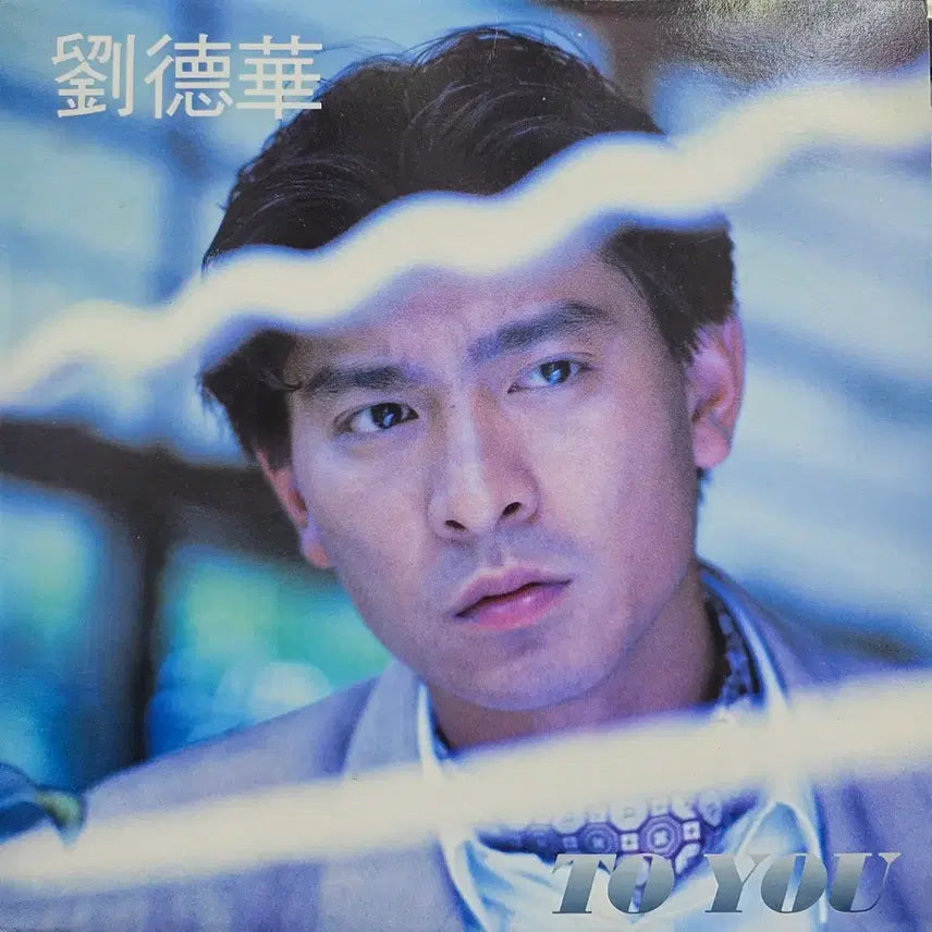 [BUNJANG] Andy Lau LP Record / 유덕화 LP