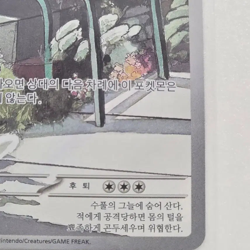 [SOLD OUT] 포켓몬카드 분떠도리 AR