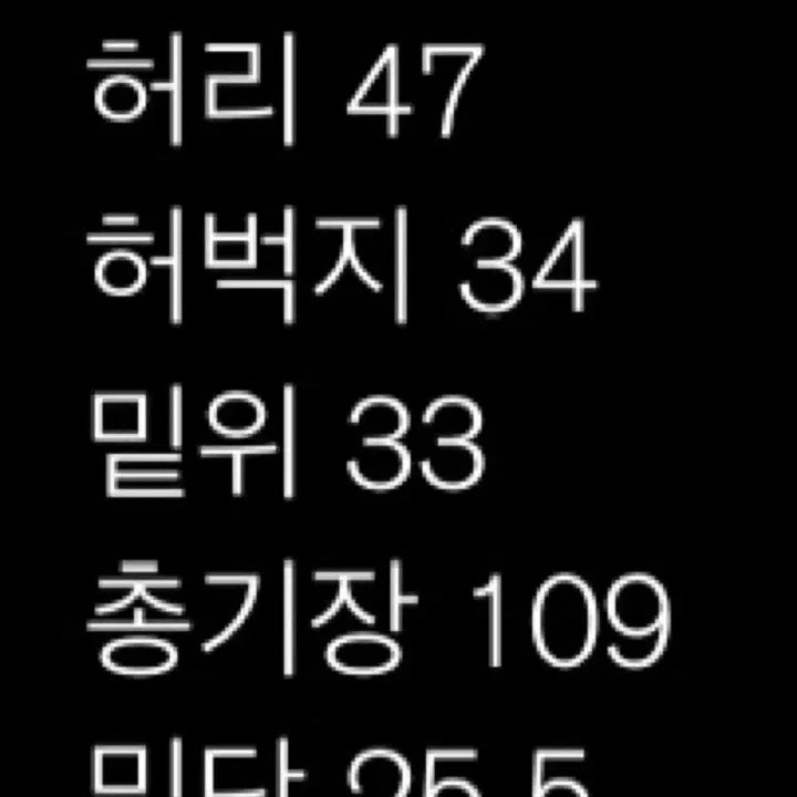 [SOLD OUT] [XL] 블랙아웃 워크팬츠