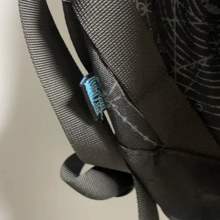 [BUNJANG] Blizzard Diablo 3 Backpack / 블리자드 디아블로 3 머천 백팩
