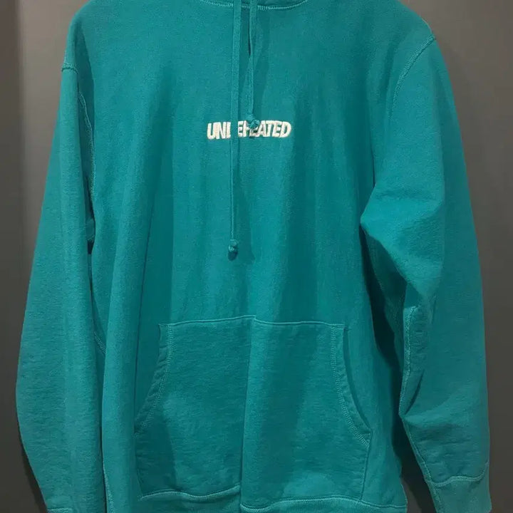 [BUNJANG] Undefeated Logo Hoodie (XL) / (XL) 언디핏 로고 후드