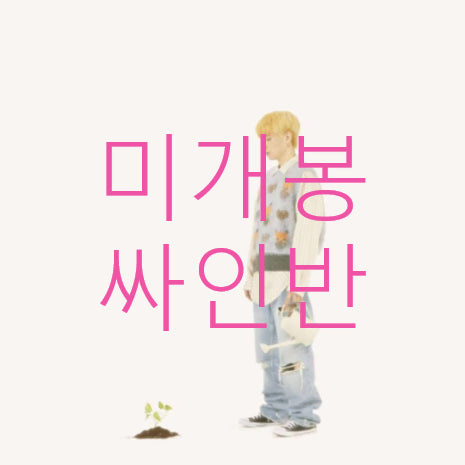 [BUNJANG] inuii Scindapsus Signed CD / [미개봉 싸인반] 이누이 (inuii) - Scindapsus (CD)