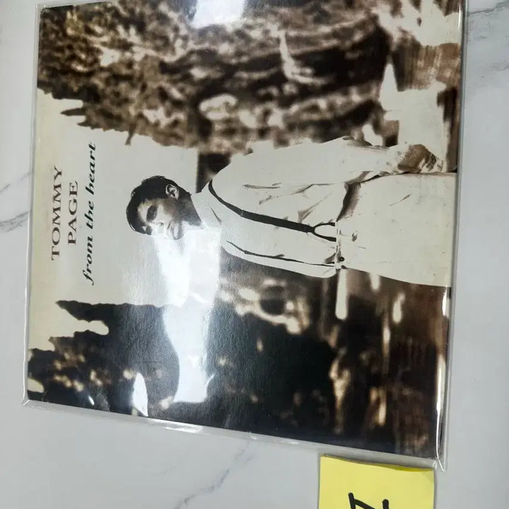 [BUNJANG] Tommy Page Paintings In My Mind LP / [희귀] 토미 페이지 Paintings In My Mind LP팝니다