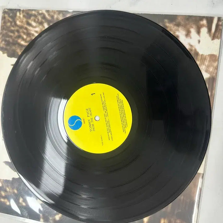 [BUNJANG] Tommy Page Paintings In My Mind LP / [희귀] 토미 페이지 Paintings In My Mind LP팝니다