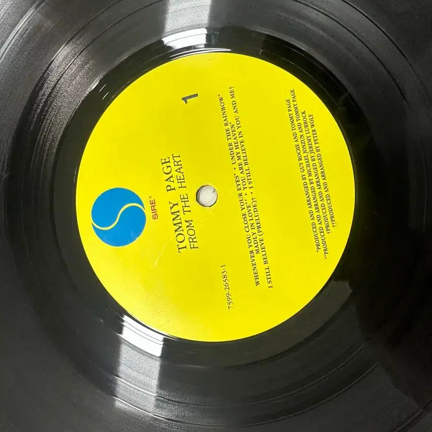[BUNJANG] Tommy Page Paintings In My Mind LP / [희귀] 토미 페이지 Paintings In My Mind LP팝니다