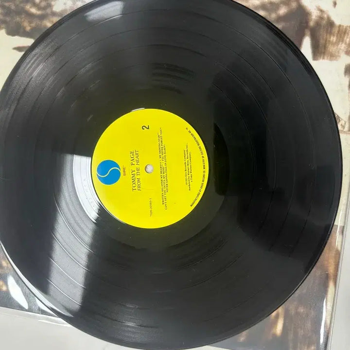 [BUNJANG] Tommy Page Paintings In My Mind LP / [희귀] 토미 페이지 Paintings In My Mind LP팝니다