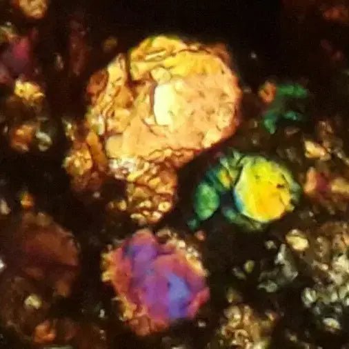 [BUNJANG] L3 Type Chondrite Meteorite / (인하)석질운석 싸게판매합니다 ~콘드라이트 현미경사진참조