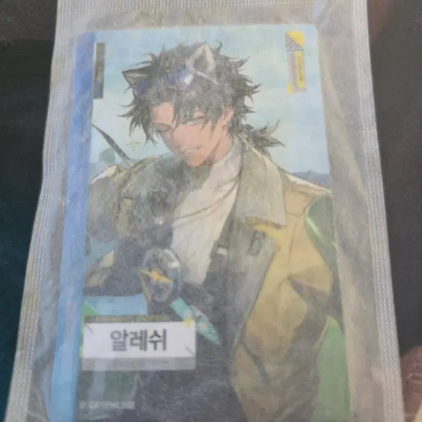 [SOLD OUT] 엔드필드 알레쉬 포토카드