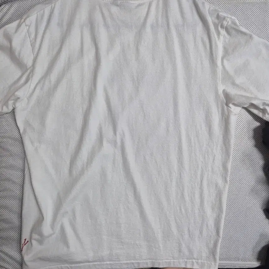 [SOLD OUT] 폴리테루 크로스티 2사이즈