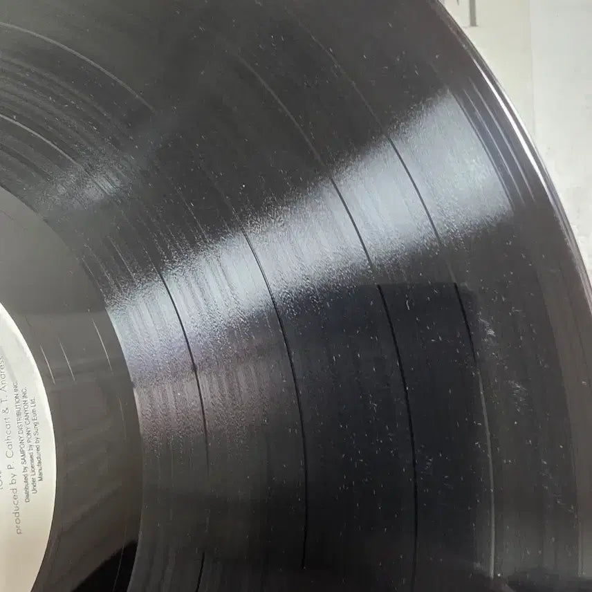 [SOLD OUT] TUCK &amp; PATTI LP