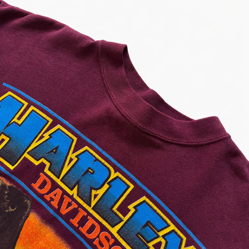 [BUNJANG] Harley Davidson Eagle Print Sweatshirt / 할리 데이비슨 프린팅 스웻셔츠 L(100~105)