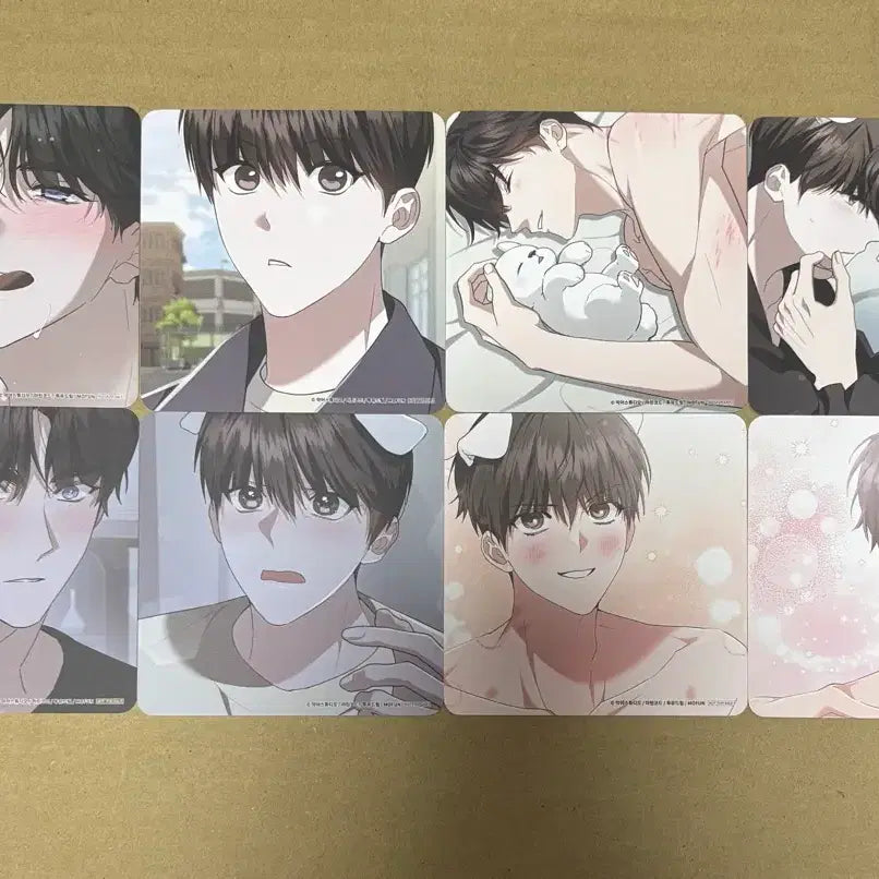 [BUNJANG] Mofun Kang-Gun-Ma Beverage POB Coaster Bundle Set / 모펀 강아지는건드리지마라 강건마 음료특전 코스터 올클 풀셋 8종 일괄
