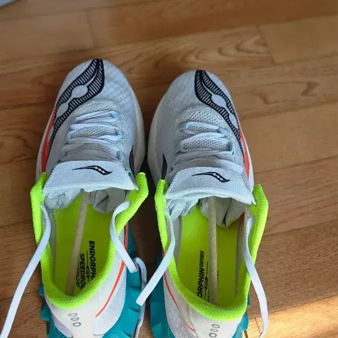 [SOLD OUT] Saucony 엔돌핀 프로4  285사이즈