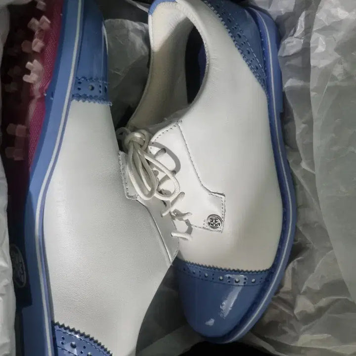 [BUNJANG] G/FORE Golf Shoes White/Blue US 6.5 / 지포어 골프화 화이트/블루 US 6.5(새상품)
