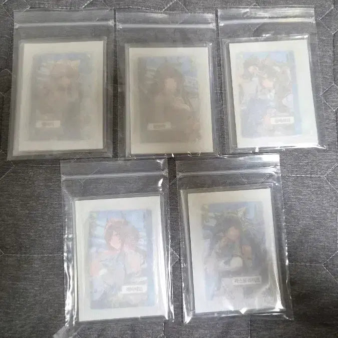 [SOLD OUT] gs콜라보  명일방주 엔드필드 5종 포토카드 일괄 세트(미개봉)
