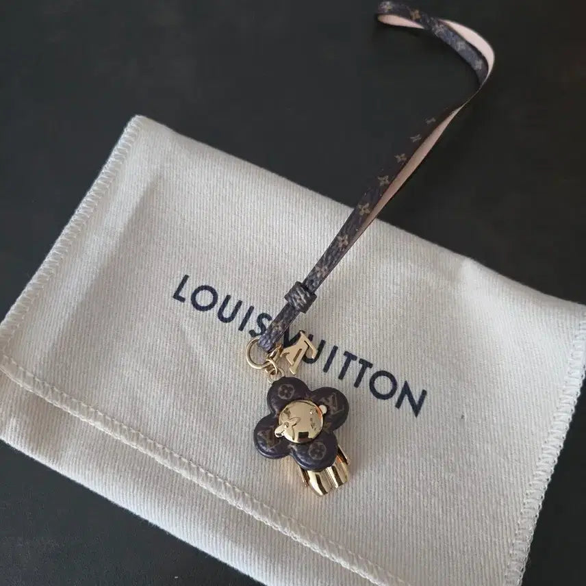 [SOLD OUT] 루이비통 비비엔 참
