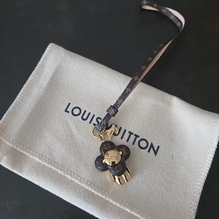 [SOLD OUT] 루이비통 비비엔 참