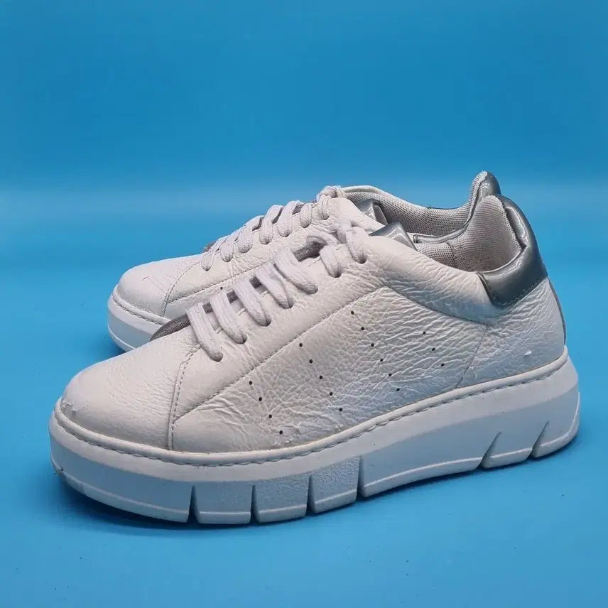 [BUNJANG] Daks Sneakers 240 / oo 닥스 스니커즈 240