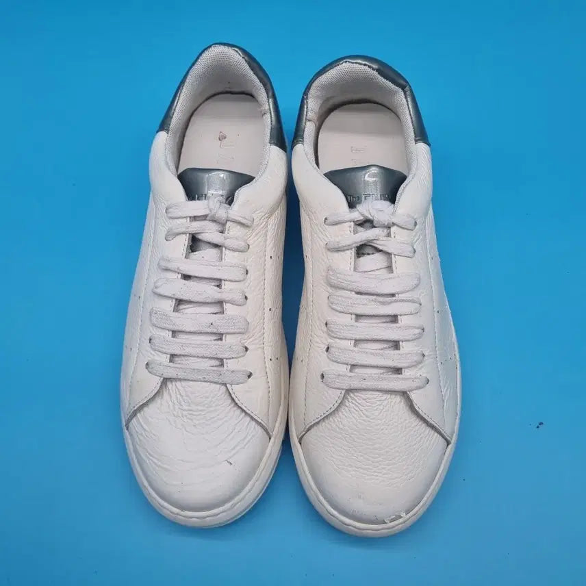 [BUNJANG] Daks Sneakers 240 / oo 닥스 스니커즈 240