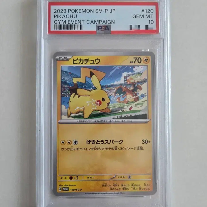 [SOLD OUT] 포켓몬 카드 2023 피카츄 짐 프로모 리자몽 PSA10